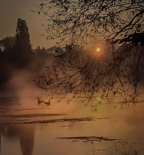 Wschód słońca w mieście, Wrocław